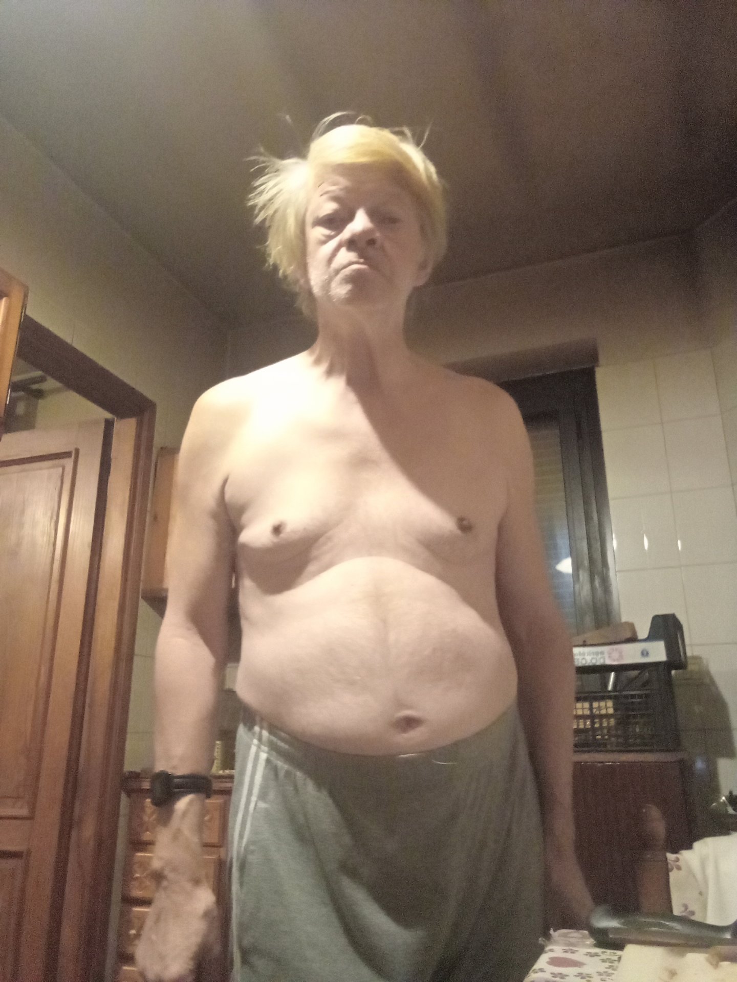 Lupo da Torino,Italia